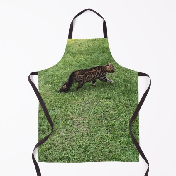 Item preview, Catwalk designed and sold by Alexander Krishchyunas.