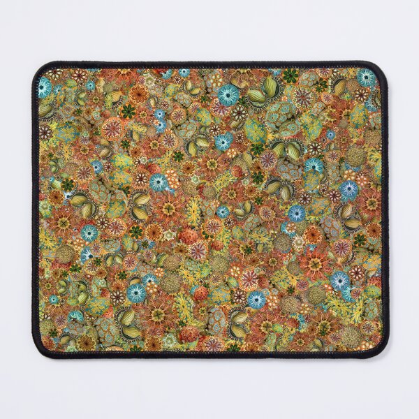 Item preview, Tidepool designed and sold by aeolia.