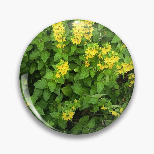 Artikelvorschau, Yellow flowers and green foliage in a summer garden entworfen und verkauft von PhuongVoArt.