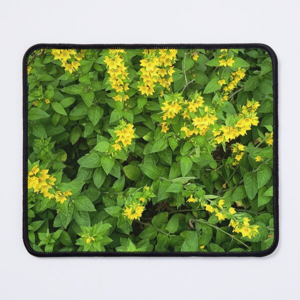 Item preview, Yellow flowers and green foliage in a summer garden designed and sold by PhuongVoArt.