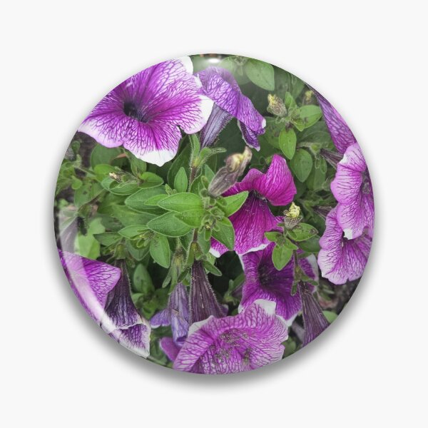 Item preview, Purple petunia flowers blooming in a garden designed and sold by PhuongVoArt.