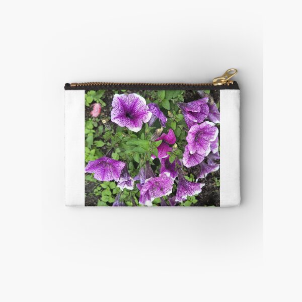 Item preview, Purple petunia flowers blooming in a garden designed and sold by PhuongVoArt.