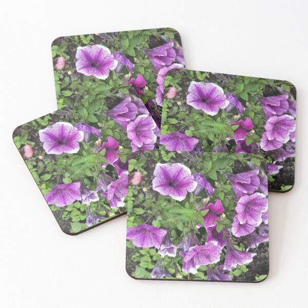 Artikelvorschau, Purple petunia flowers blooming in a garden entworfen und verkauft von PhuongVoArt.