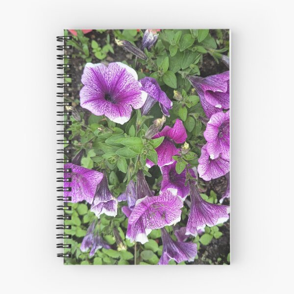Item preview, Purple petunia flowers blooming in a garden designed and sold by PhuongVoArt.