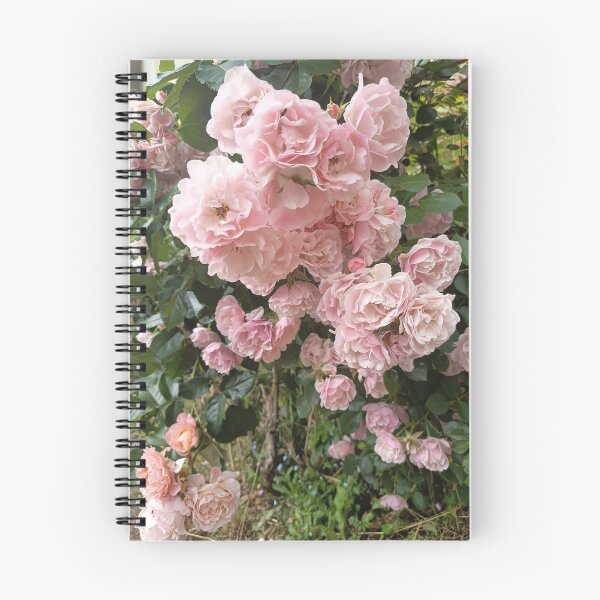 Artikelvorschau, Soft pink roses blooming in a garden entworfen und verkauft von PhuongVoArt.