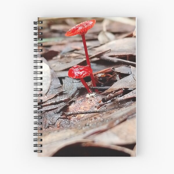 Item preview, Mycena minirubra designed and sold by HPrespective.