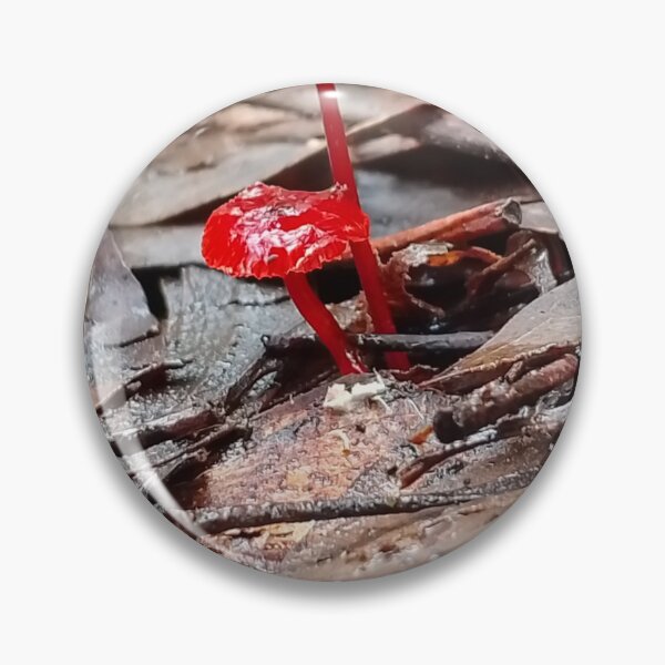 Item preview, Mycena minirubra designed and sold by HPrespective.