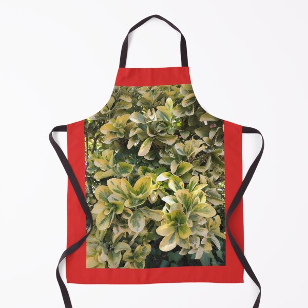 Item preview, Creeper designed and sold by Maitedo.