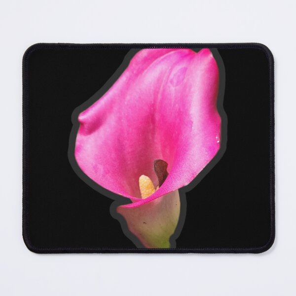 Item preview, Pink Cala Lily designed and sold by Living Green in a Red State .