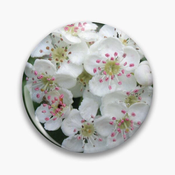 Item preview, blossom designed and sold by KathleenDawson.