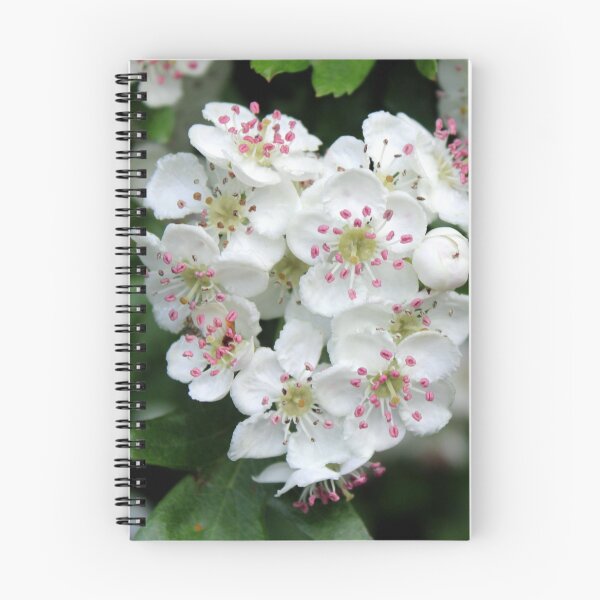 Item preview, blossom designed and sold by KathleenDawson.