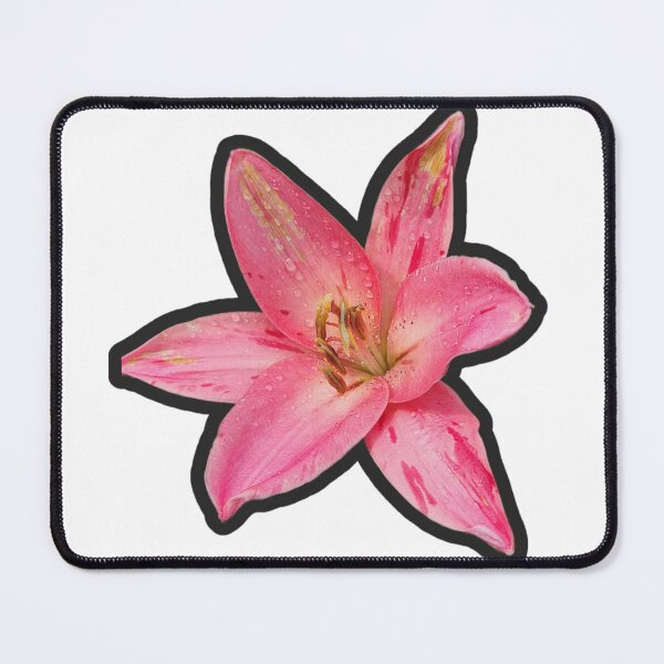Item preview, Pink stargazer lily designed and sold by Living Green in a Red State .