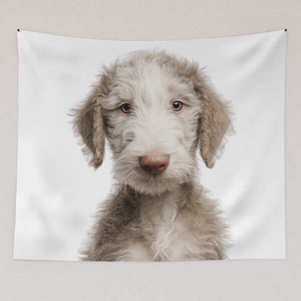 Item preview, Adorable Bedlington Terrier puppy for Cute Rothbury Terrier puppy lovers designed and sold by LazyOwlStore.