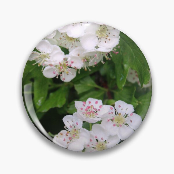 Item preview, blossom designed and sold by KathleenDawson.