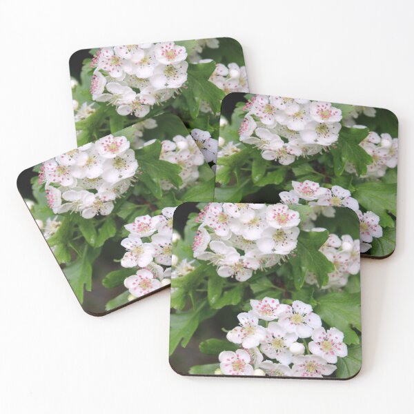 Item preview, blossom designed and sold by KathleenDawson.