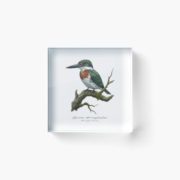 Item preview, Green Kingfisher on Mossy Branch designed and sold by Takeda-art.