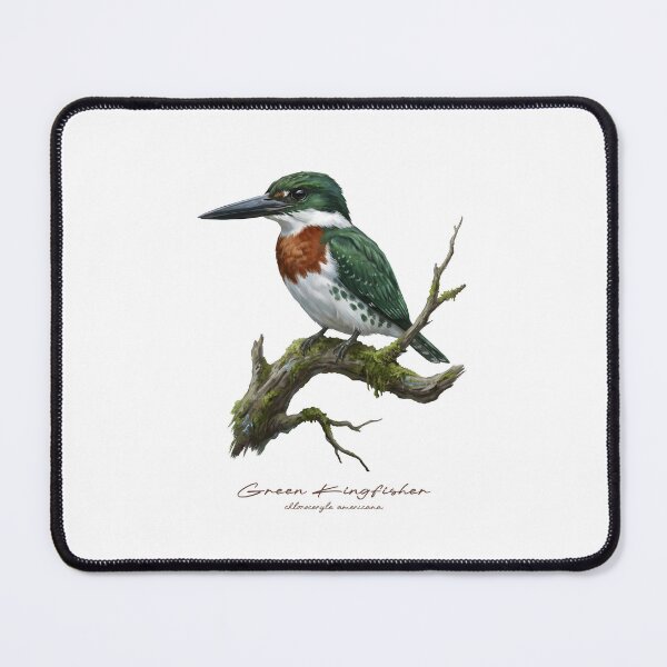 Item preview, Green Kingfisher on Mossy Branch designed and sold by Takeda-art.