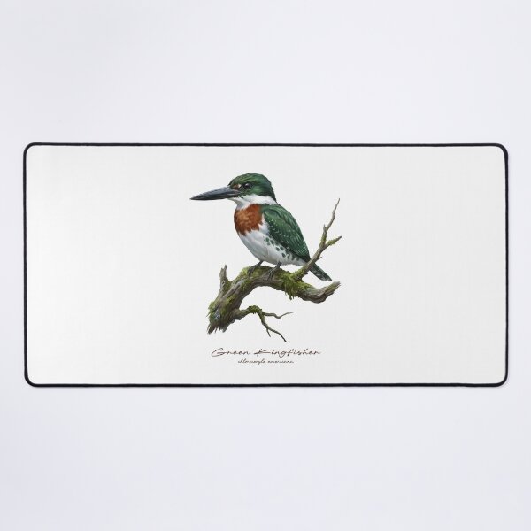 Item preview, Green Kingfisher on Mossy Branch designed and sold by Takeda-art.