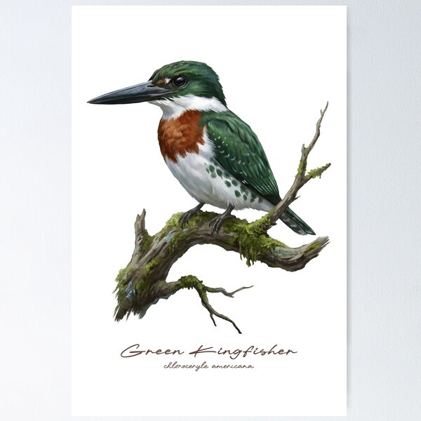 Item preview, Green Kingfisher on Mossy Branch designed and sold by Takeda-art.