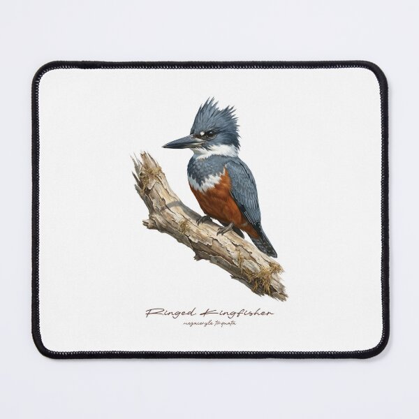 Item preview, Ringed Kingfisher on Rustic Branch designed and sold by Takeda-art.