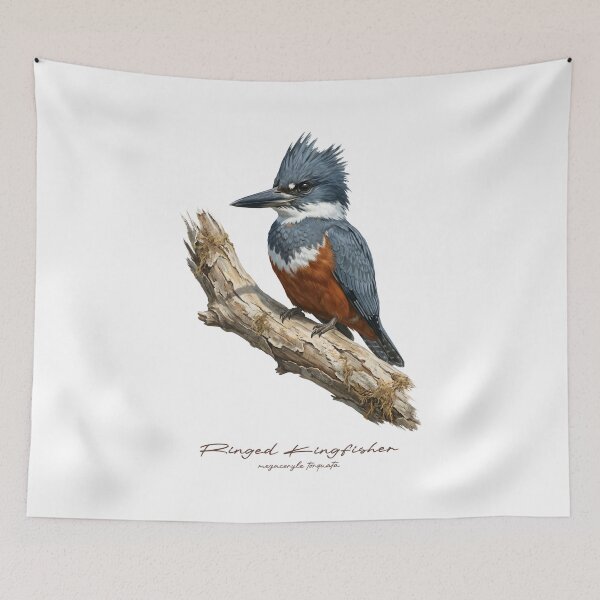 Item preview, Ringed Kingfisher on Rustic Branch designed and sold by Takeda-art.