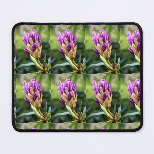 Item preview, blossom designed and sold by KathleenDawson.