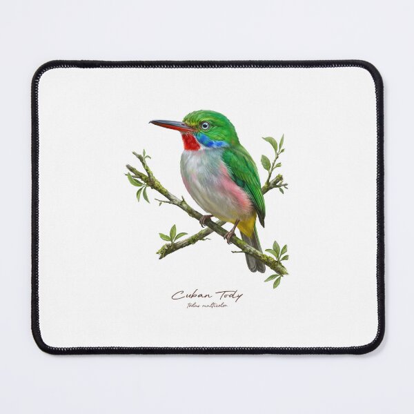 Item preview, Cuban Tody on Small Branch designed and sold by Takeda-art.