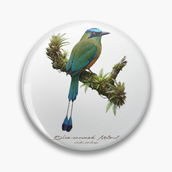 Item preview, Blue-crowned Motmot on Mossy Branch designed and sold by Takeda-art.