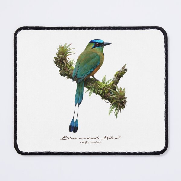 Item preview, Blue-crowned Motmot on Mossy Branch designed and sold by Takeda-art.