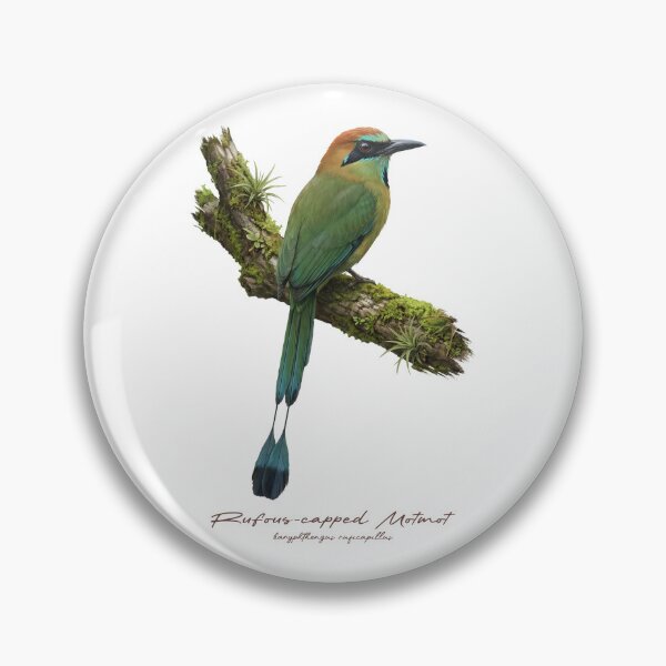 Item preview, Rufous-capped Motmot on Mossy Branch designed and sold by Takeda-art.