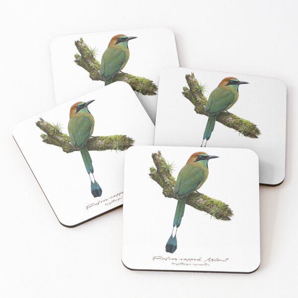 Item preview, Rufous-capped Motmot on Mossy Branch designed and sold by Takeda-art.