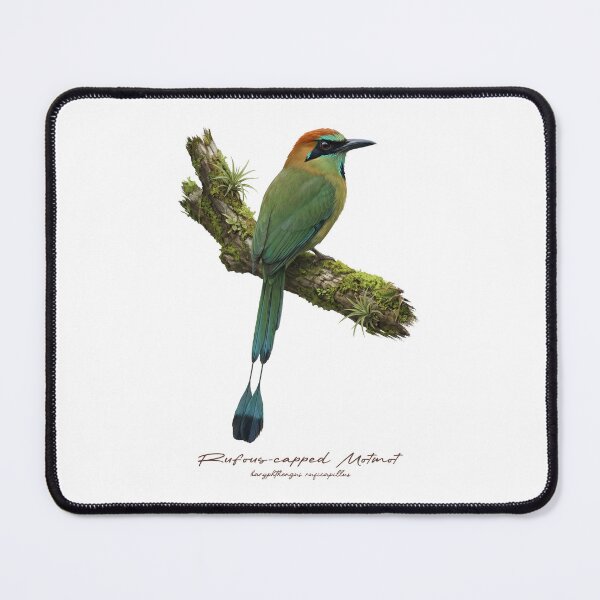 Item preview, Rufous-capped Motmot on Mossy Branch designed and sold by Takeda-art.