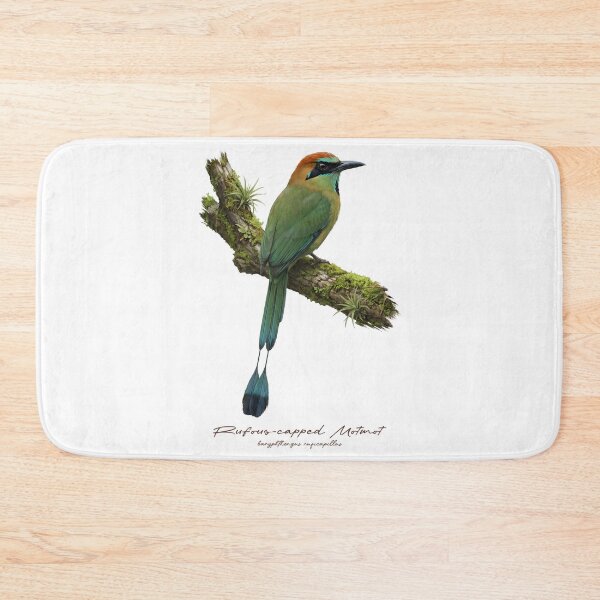 Item preview, Rufous-capped Motmot on Mossy Branch designed and sold by Takeda-art.