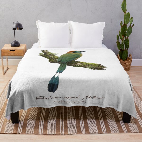 Item preview, Rufous-capped Motmot on Mossy Branch designed and sold by Takeda-art.