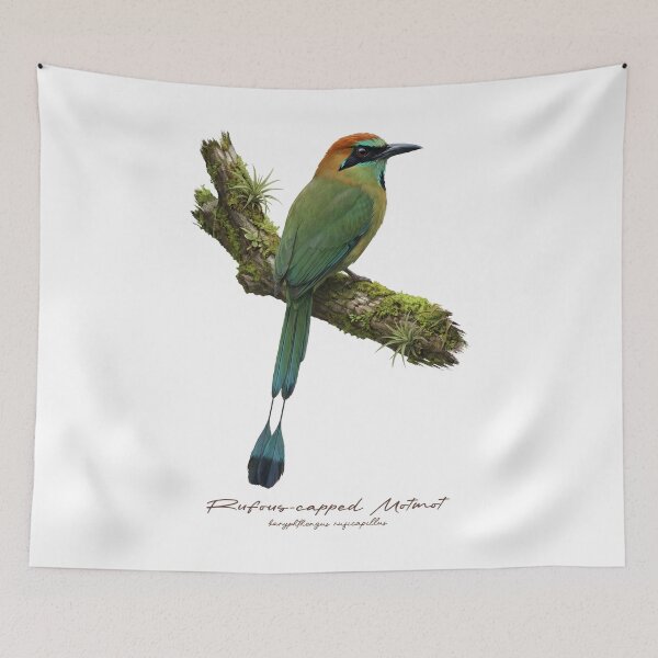 Item preview, Rufous-capped Motmot on Mossy Branch designed and sold by Takeda-art.