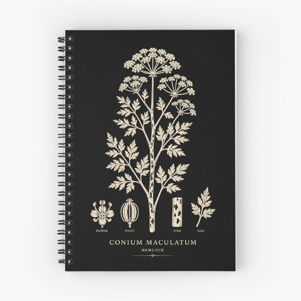 Item preview, Hemlock Botanical Illustration Dark Academia Poison Plant Vintage Herbal Shirt designed and sold by nbg2012.
