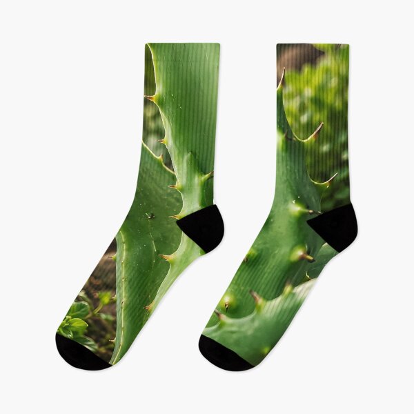 Item preview.