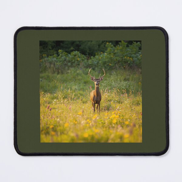 Item preview, Buck in the Woods designed and sold by Nene Bird Designs.