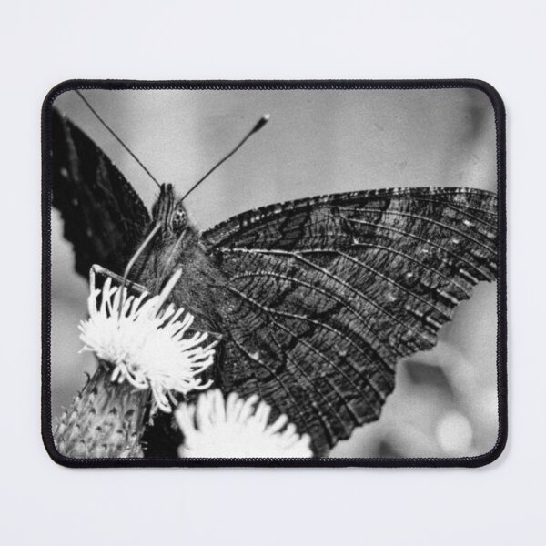 Item preview, Macro Butterfly designed and sold by Breannarts.