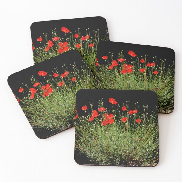 Item preview, Scarlet Poppies Blooming Against a Dark Background designed and sold by onubi.