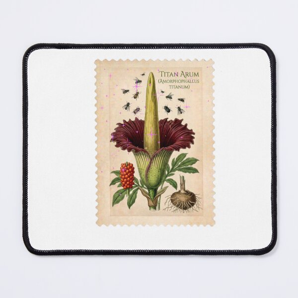 Item preview, Vintage Titan Arum Stamp - Aesthetic Botanical Flower Art  designed and sold by Atlasoloji.