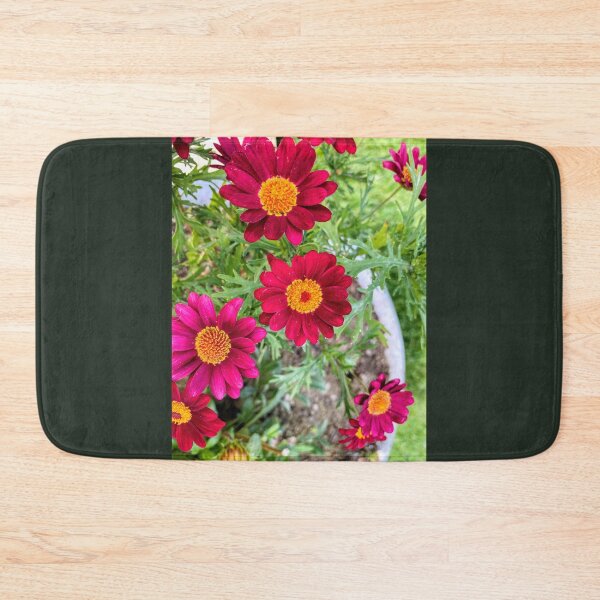 Item preview, Vibrant Magenta Red Marguerite Daisy Garden Bloom designed and sold by BalkanBloom.