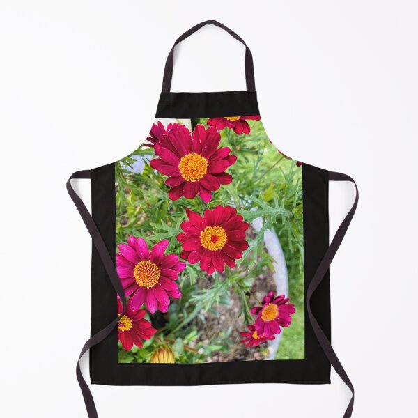 Item preview, Vibrant Magenta Red Marguerite Daisy Garden Bloom designed and sold by BalkanBloom.