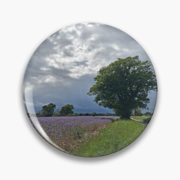 Item preview, Phacelia, Weather Watchers, Foxhall, Suffolk designed and sold by wiggyofipswich.