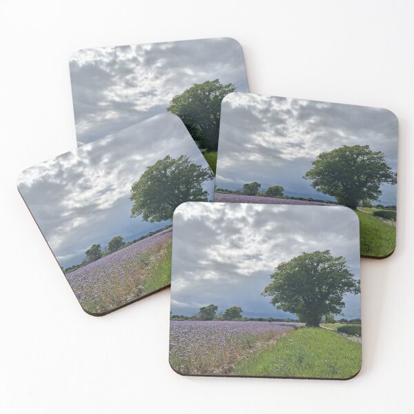 Item preview, Phacelia, Weather Watchers, Foxhall, Suffolk designed and sold by wiggyofipswich.
