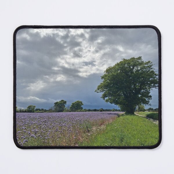 Item preview, Phacelia, Weather Watchers, Foxhall, Suffolk designed and sold by wiggyofipswich.