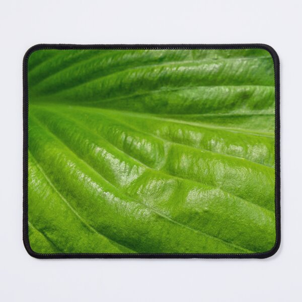 Item preview, Fresh Green Leaf Macro Texture Botanical Pattern designed and sold by MariaAbaza.