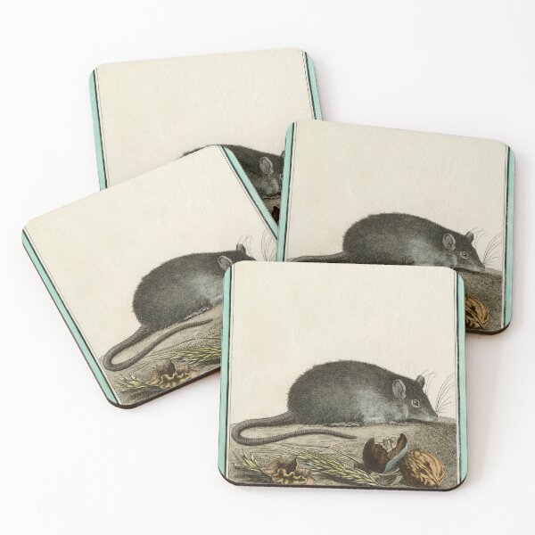 Item preview, Rat drawn in 1780 for Comte de Buffon designed and sold by TerryKerrImages.
