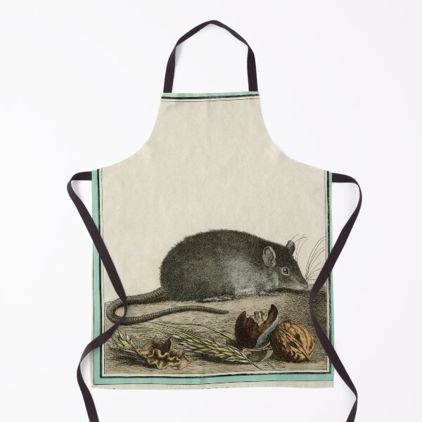 Item preview, Rat drawn in 1780 for Comte de Buffon designed and sold by TerryKerrImages.