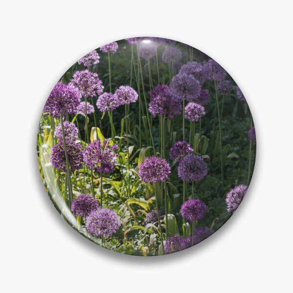 Item preview, Purple Alliums in Bloom designed and sold by Georgia Mizuleva.